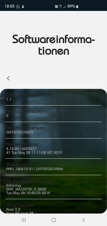 Screenshot_20190530-120305_Settings.jpg