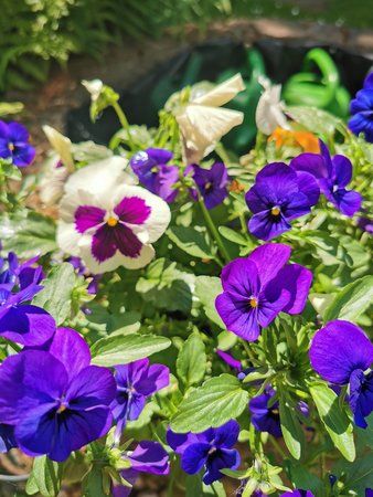 IMG_20190529_145743.jpg