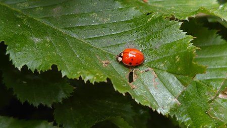 DSC_1161.JPG