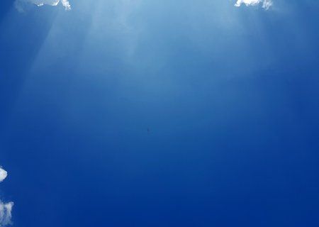 20190519_151144_1.jpg
