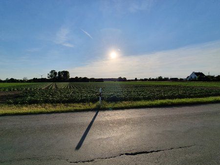 20190601_193230.jpg