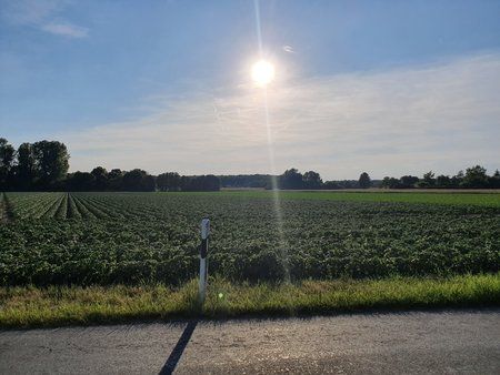 20190601_193222.jpg