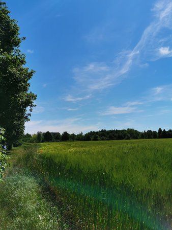 IMG_20190602_141927.jpg