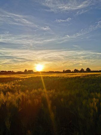 IMG_20190601_205538.jpg