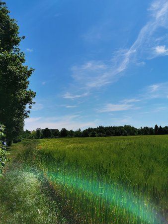 IMG_20190602_141927-01.jpeg