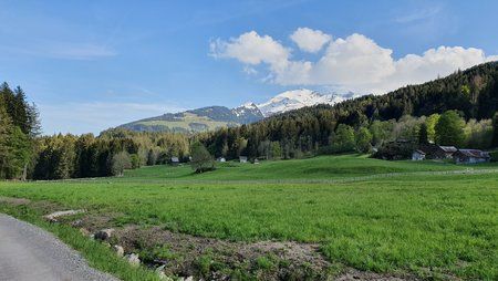 20190523_172437.jpg