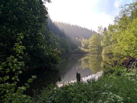IMG_20190529_090815.jpg