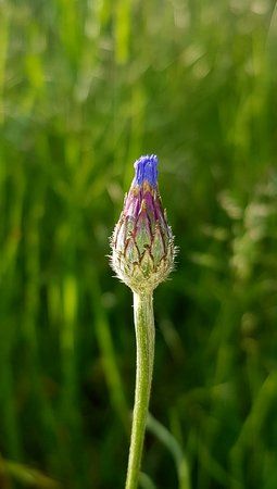 20190522_190608_1.jpg
