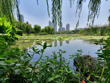 20190523_113554.jpg