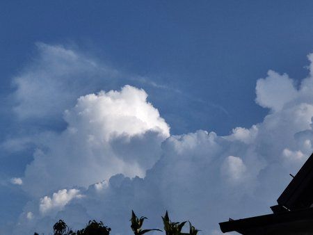 IMG_20190605_190008.jpg