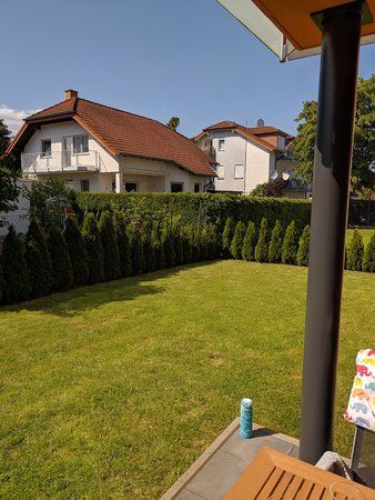 IMG_20190607_161708.jpg