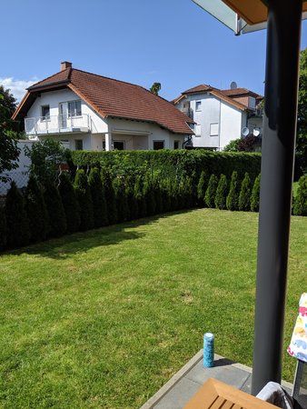 IMG_20190607_161616.jpg