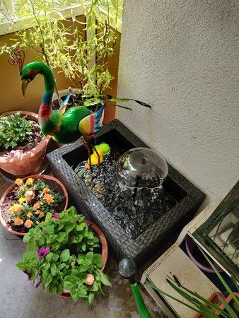 IMG_20190608_150201.jpg