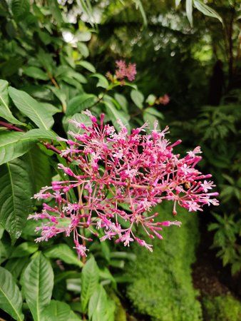 IMG_20190609_144618.jpg