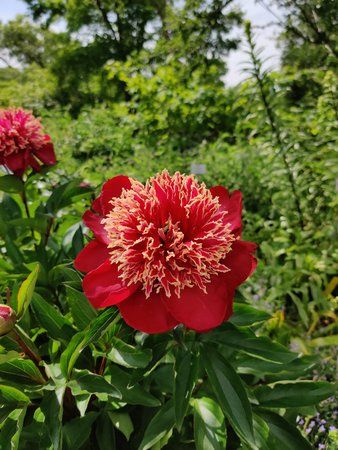 IMG_20190609_152317.jpg