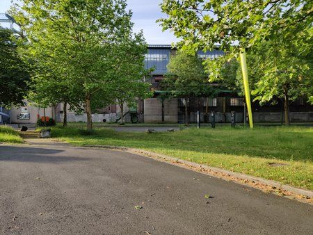IMG_20190609_070631.jpg