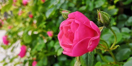 IMG_20190610_124200.jpg