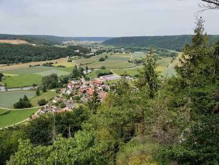 IMG_20190610_151104.jpg