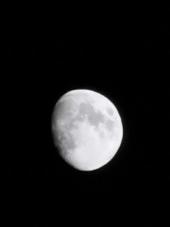 IMG_20190613_231651.jpg