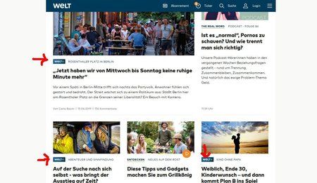 Screenshot_2019-06-16 WELT.jpg