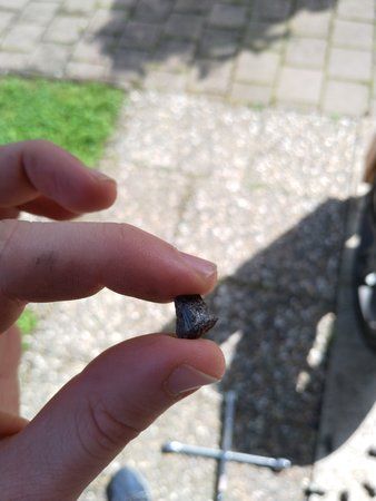 IMG_20190616_101854_443.jpg