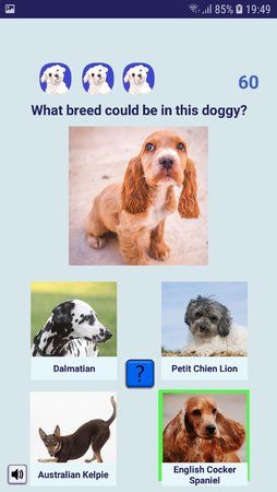 Screenshot_20190608-194953_Adopt a Doggy Quiz.jpg