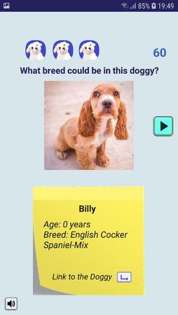 Screenshot_20190608-194959_Adopt a Doggy Quiz.jpg