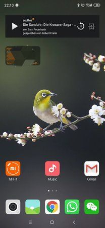 Screenshot_2019-06-17-22-10-02-153_com.miui.home.jpg