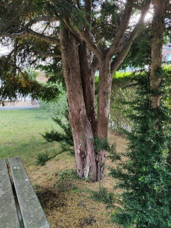 IMG_20190616_192558.jpg