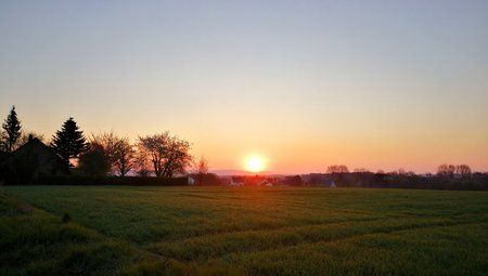 IMG_20190416_091649.jpg