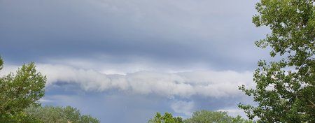 20190620_080215.jpg
