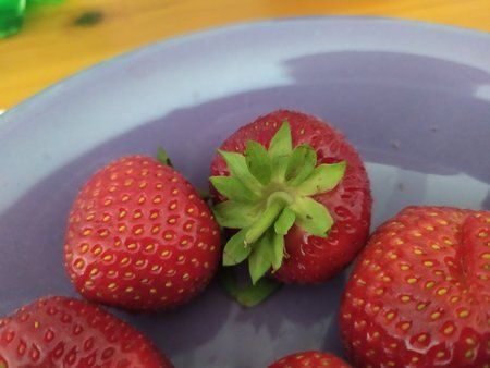 IMG_20190620_170207.jpg