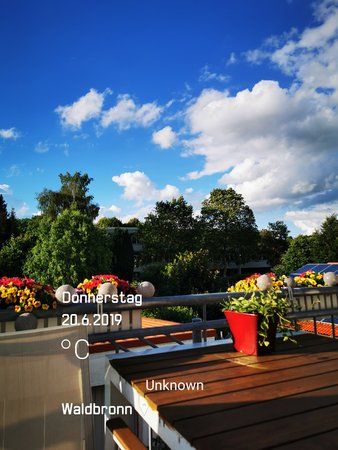 IMG_20190620_193226.jpg
