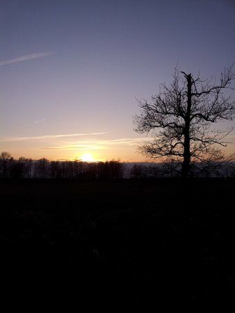 20120408_194908.jpg
