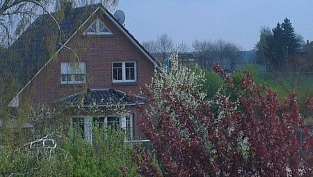 IMAG0140.jpg