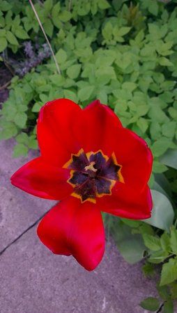 2012-04-23 19.20.44.jpg