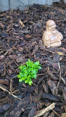 2012-04-23 19.23.53.jpg