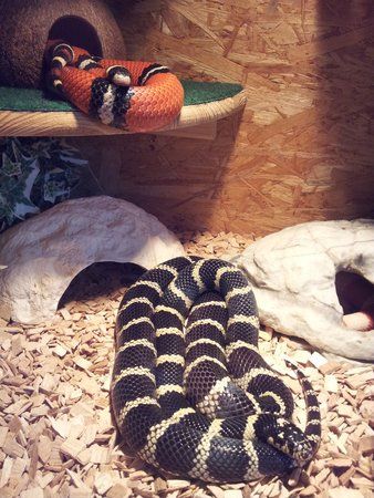 2012-04-10 17.41.41.jpg