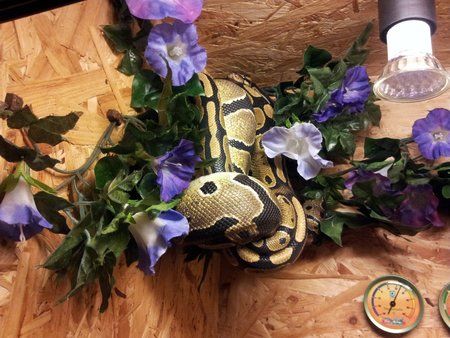 2012-02-21 17.30.44.jpg