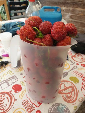 20190620_111110.jpg