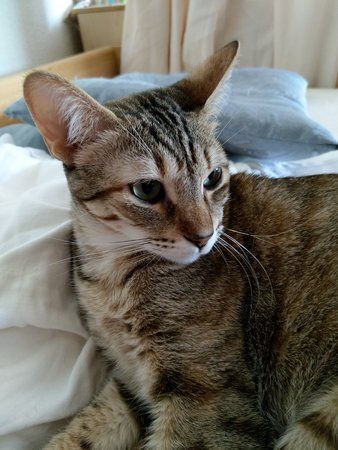 IMAG0174.jpg