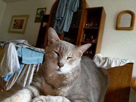 IMAG0160.jpg
