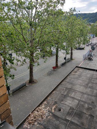 IMAG0142.jpg