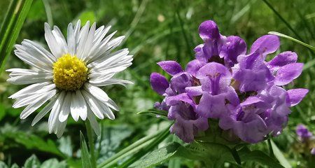 IMG_20190622_154416_1.jpg