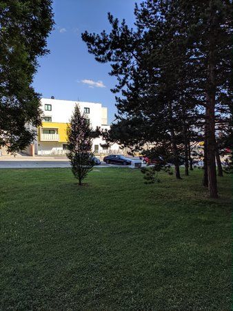 IMG_20190628_164306.jpg