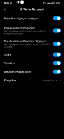 Screenshot_2019-06-28-16-57-21-276_com.android.settings.png