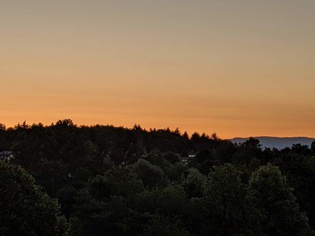 IMG_20190628_051022.jpg
