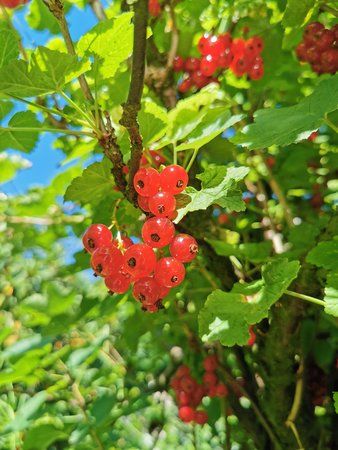 IMG_20190629_163159.jpg