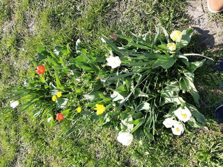 20190415_163835.jpg