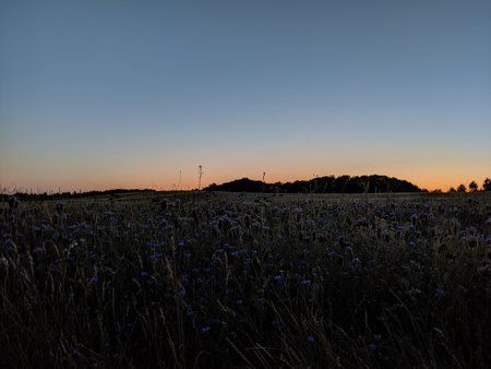 IMG_20190703_223249.jpg